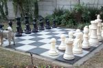ivory and black chess set